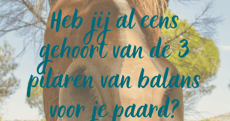 3 pilaren van gedrag, observeren