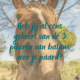 3 pilaren van gedrag, observeren