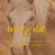 observeren, kijken naar je paard