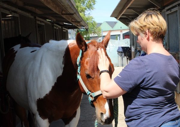 Help! Mijn paard slaat met het achterbeen, connectie, Anita Janssen