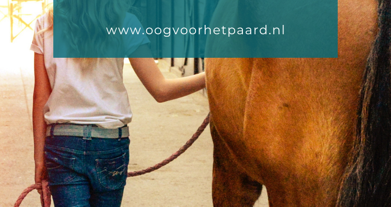 paard loopt mij omver