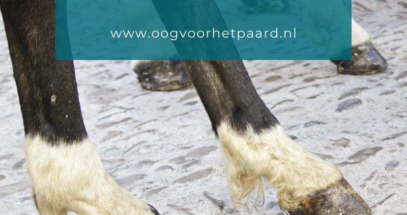 hoeven invetten. Zin of onzin?, TTouch, oogvoorhetpaard, oog voor het paard, hoevenvet, duo protection hoef