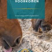 zand eten paard