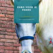 ehbo paard