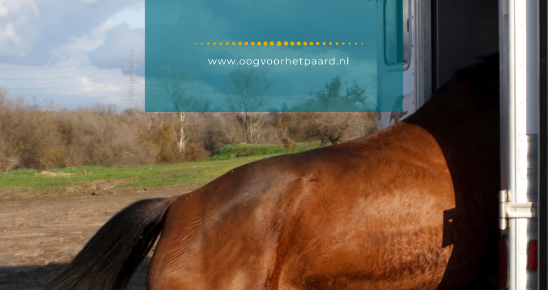 Groenezeep, groene zeep, angtig paard, oogvoorhetpaard