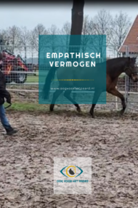 paard, oogvoorhetpaard, anitajanssen, empathie, empathisch vermogen