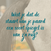 staart spiegel van paard, spanning bij paard