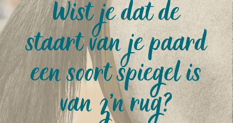 staart spiegel van paard, spanning bij paard