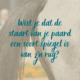 staart spiegel van paard, spanning bij paard