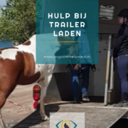 trailerladen