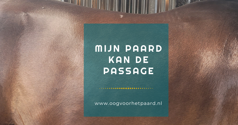 Passage paard