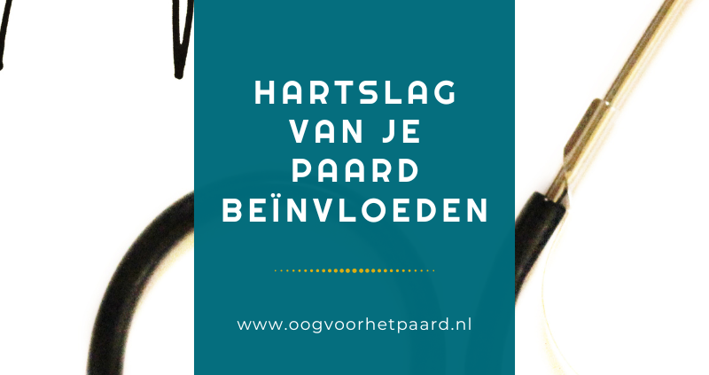 hartslag paard