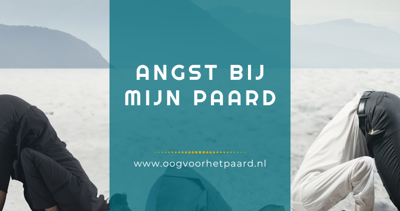 angst bij paard