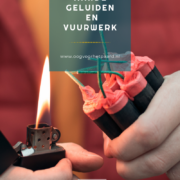 vuurwerk, harde geluiden, oog voor het paard