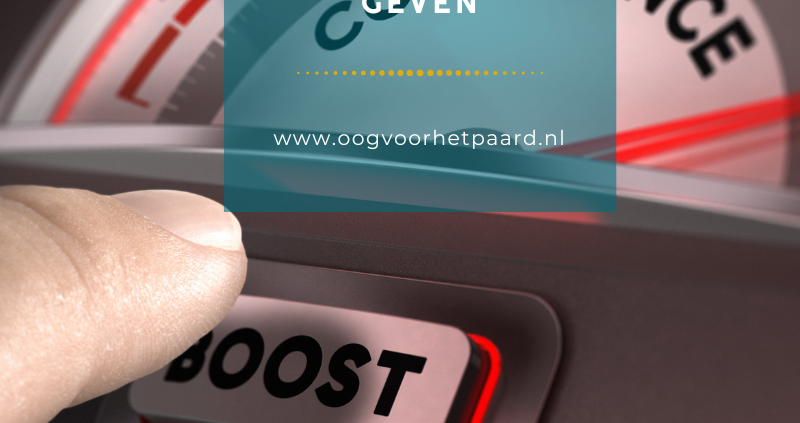 meer zelfvertrouwen paard, oog voor het paard