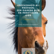 onzekerheid paard