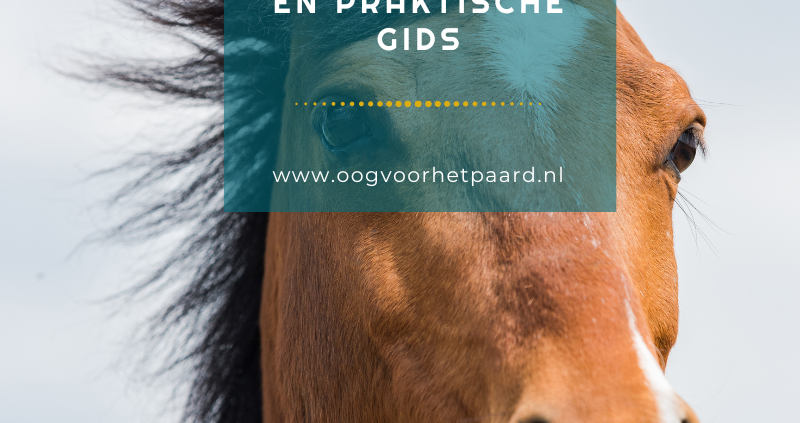 onzekerheid paard