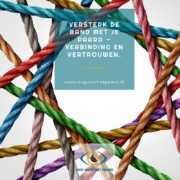 verbinding, vertrouwen