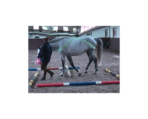 beenstand, bandage, balkjes, proprioceptie