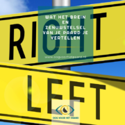zenuwstelsel, polyvagaaltheorie, Stephen Porges