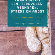 verharen angst stress