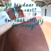 paard vast in de achterhand, SI-gebied