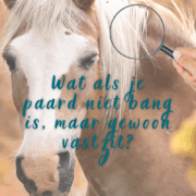 Schrikgedrag, spanning