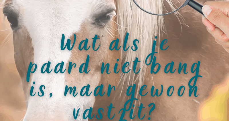 Schrikgedrag, spanning
