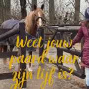 proprioceptie