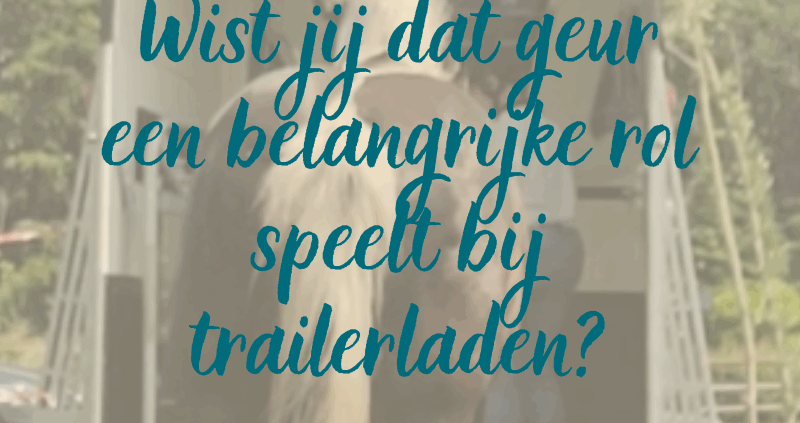 trailerladen paard, trailer laden angst, trailerladen tips