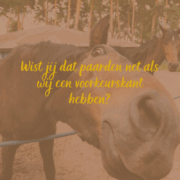Scheefheid paard, natuurlijke scheefheid, disbalans