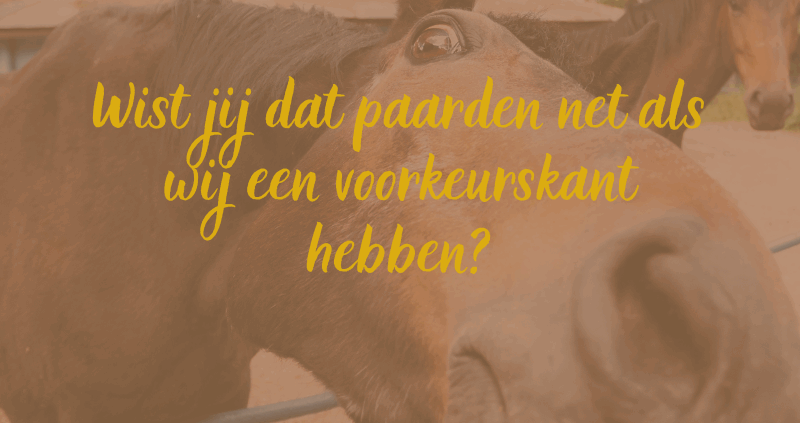 Scheefheid paard, natuurlijke scheefheid, disbalans