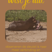 verbinding en vertrouwen