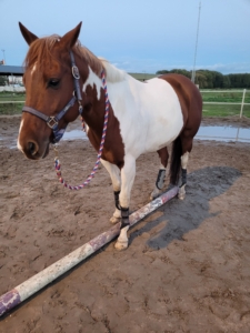 ruimtelijk inzicht, grondwerk, balkje