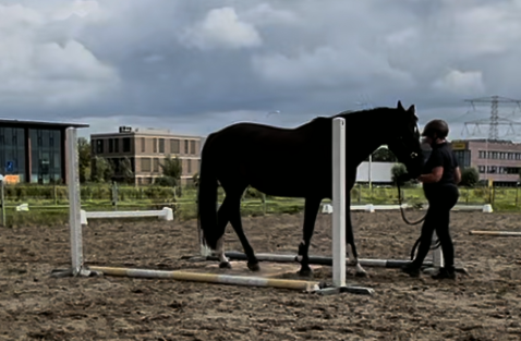 Grondwerklessen Grondwerklessen