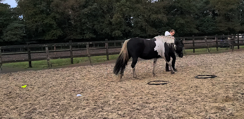 Grondwerklessen - www.oogvoorhetpaard.nl Grondwerklessen, banden