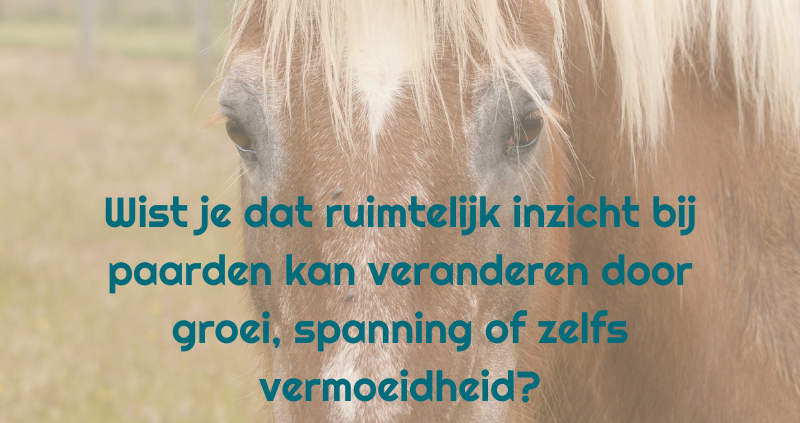 ruimtelijk inzicht, grondwerk