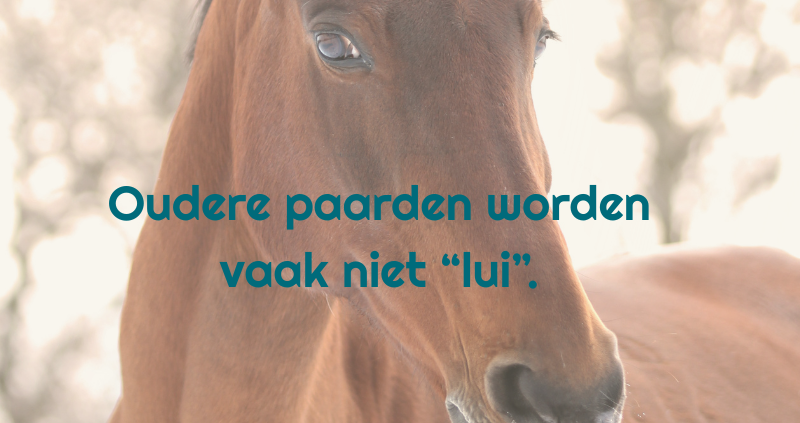 grondwerk, oudere paarden