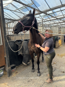 verbinden en vertrouwen, grooming