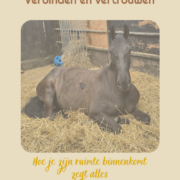 verbinden en vertrouwen