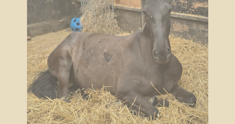 verbinden en vertrouwen